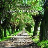 Support for Stroke Recovery 4 CD - show product detail